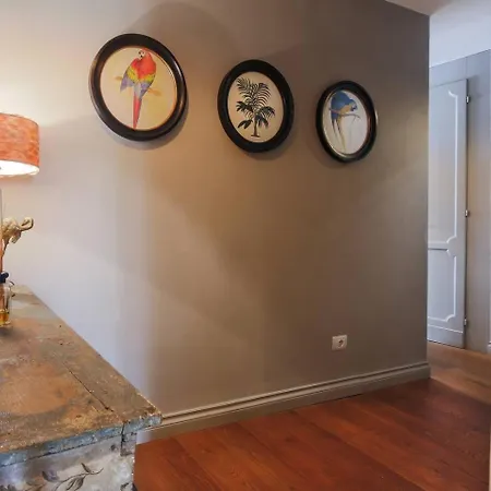 - Pitti 8 With Amazing View Apartment *
